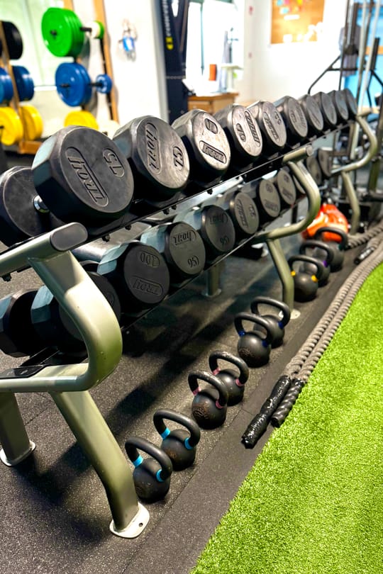 The dumbbell rack and kettlebells running the length of the turf lane.