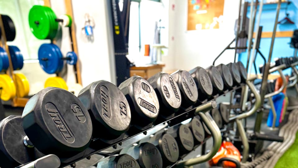 The dumbbell rack and kettlebells along the turf lane at Eastlake Performance.